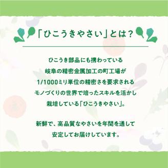 934 根と芽も丸ごと食べられる！発芽にんにく【30本】岐阜産クリーンルーム水耕栽培