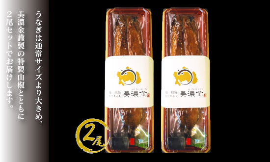 1036 美濃金　神田本店　炭焼　国産うなぎ蒲焼２尾