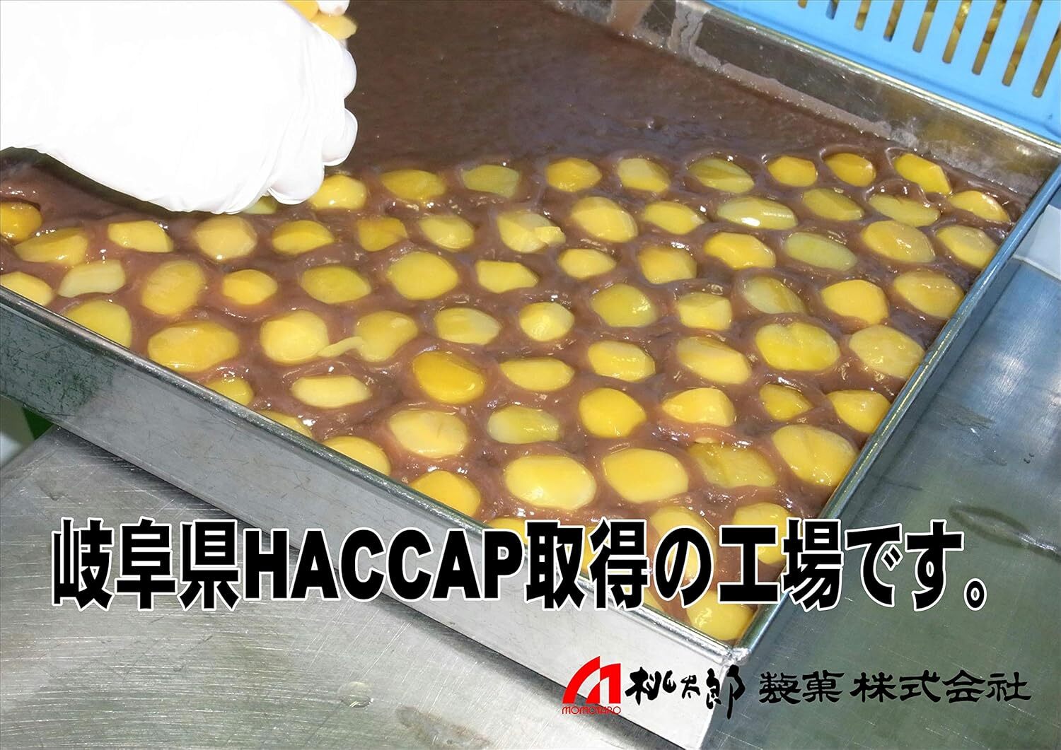 1096 桃太郎製菓 2本入り栗蒸し羊羹 210g×2本 栗入り 栗菓子 甘露栗 蒸し ようかん お土産 手土産 ギフト 和菓子 老舗