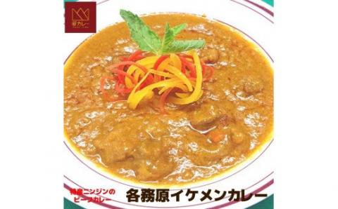 523	各務原イケメンカレー5袋セット