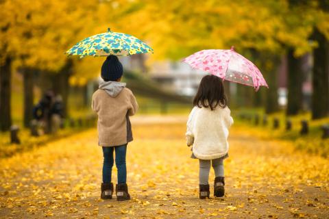 545 写真家 小林淳によるロケーション撮影（計1時間：15カット保障）