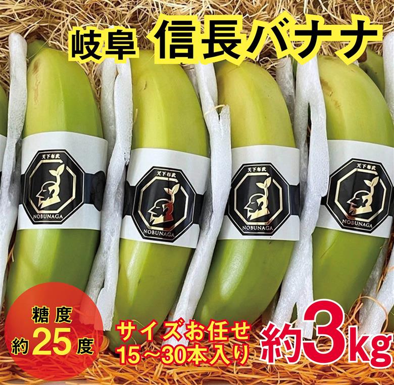 1043 天下布武信長バナナ　約3kg　サイズお任せ　国産　糖度25度前後　無農薬　無添加