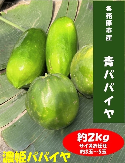 1044 濃姫パパイヤ　約2kg　サイズお任せ　岐阜県産　無農薬　無添加