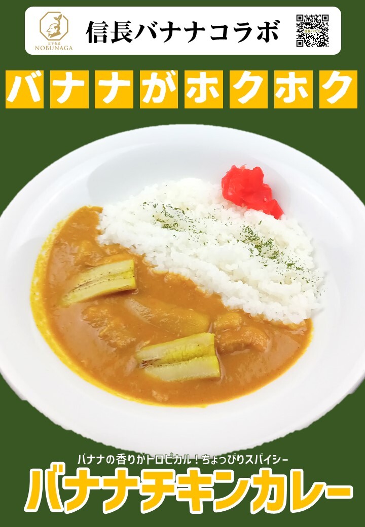 1048　信長バナナチキンカレー５袋セット