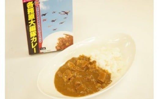 26 各務原大編隊カレー　１０箱セット