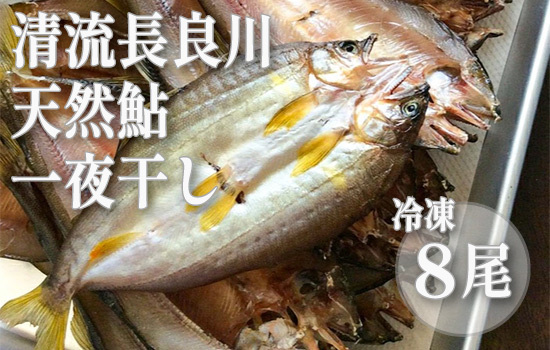 72 【皇室献上御料場近郊】川漁師の天然鮎/一夜干し