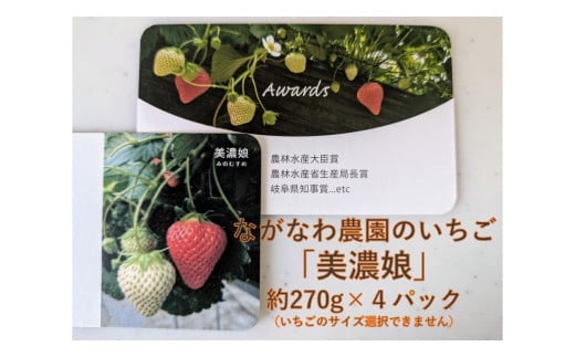99 （予約）ながなわ農園のいちご「美濃娘」約270g×4パック