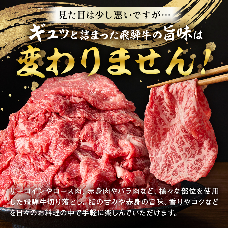 飛騨牛切り落とし1Kg（250ｇ×4）【0016-019】