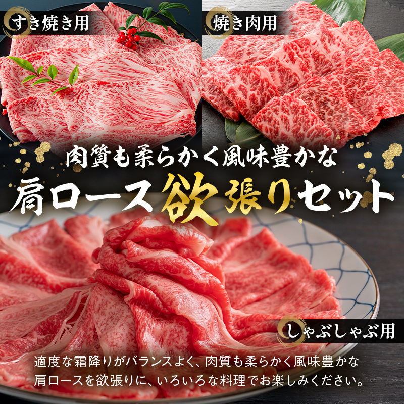 飛騨牛セット　肩ロース（クラシタ）肉（すき焼き用・しゃぶしゃぶ用・焼き肉用）各400ｇ【0016-044】
