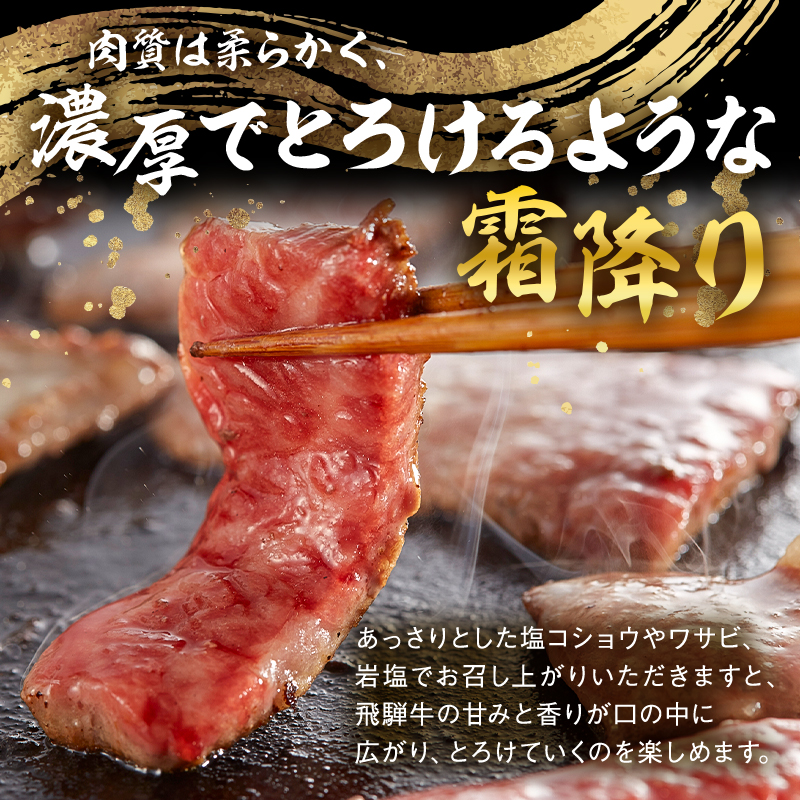 飛騨牛　焼肉用（ロース700ｇ）【0016-049】