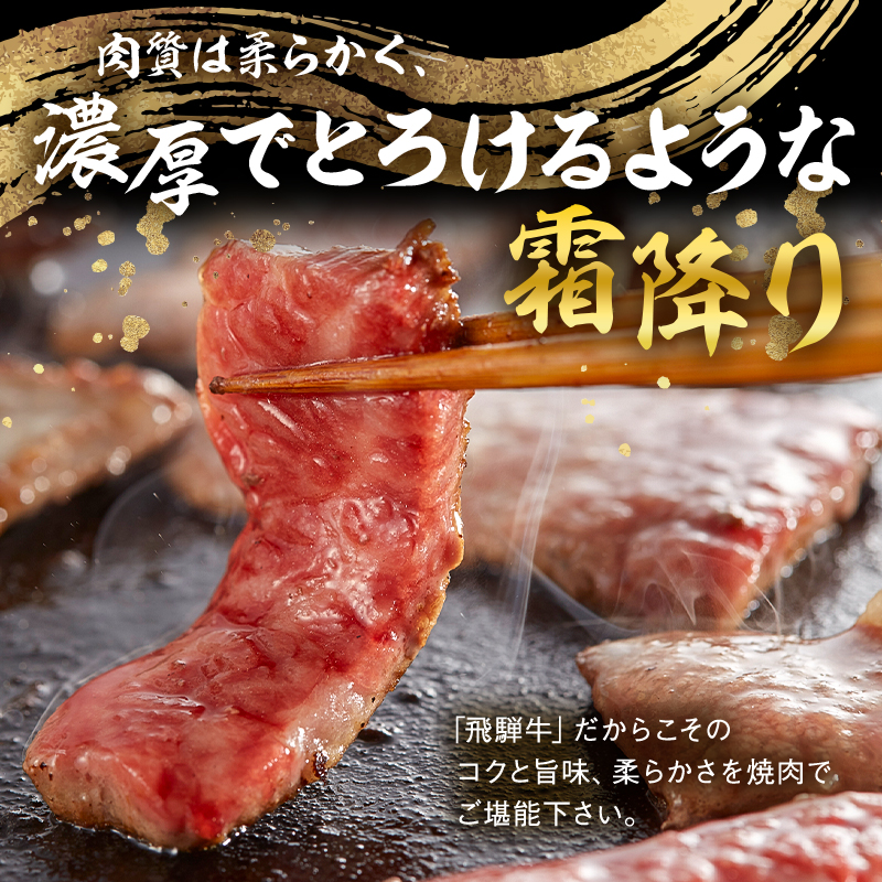 飛騨牛　焼肉用ロース1kg（500ｇ×2）【0016-053】