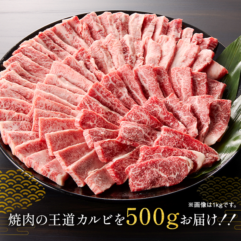 飛騨牛カルビ500g【0016-054】