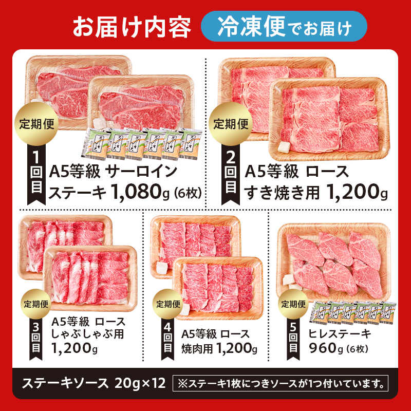 『飛騨牛』贅沢食べ比べセットB　定期便※5回に分けてのお届けとなります。（サーロインステーキ1,080g・ロースすき焼き用1,200g・ロースしゃぶしゃぶ用1,200g・ロース焼肉用1,200g・ヒレステーキ960g）【0016-100】