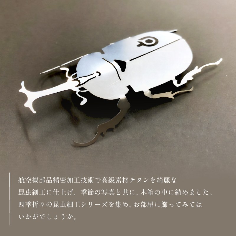 薄板チタン昆虫細工シリーズ（カブトムシ） 【0067-011】