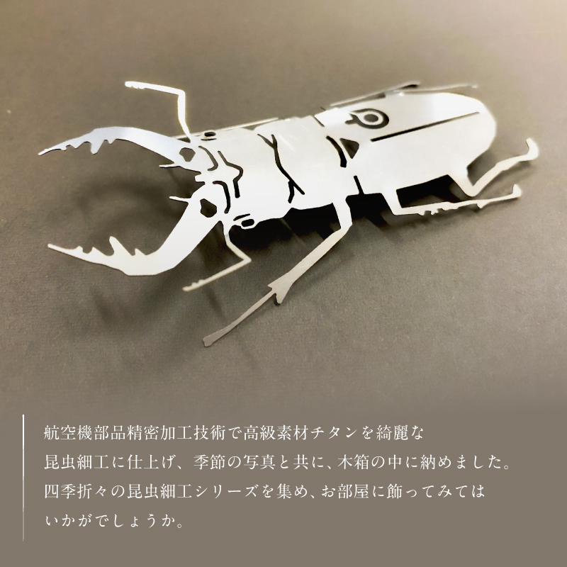 薄板チタン昆虫細工シリーズ（クワガタ） 【0067-012】