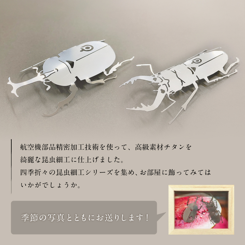 薄板チタン昆虫細工シリーズ（クワガタ＆カブトムシ セット） 【0067-013】