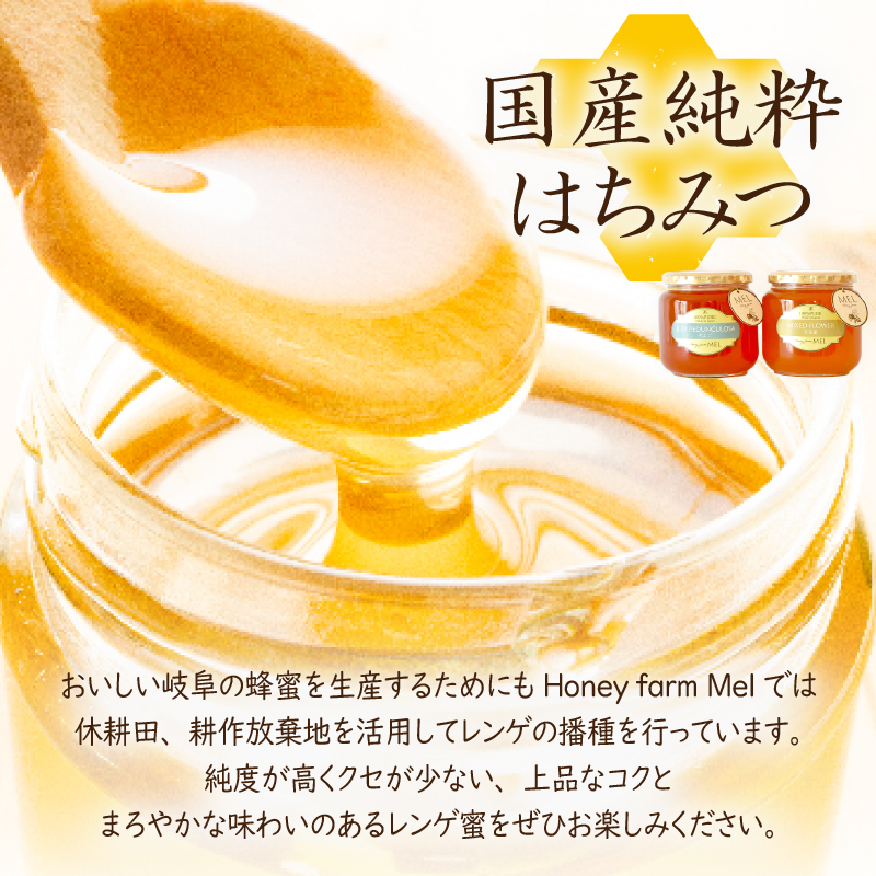 DOALA HONEY　国産純粋はちみつセット　もちのき蜂蜜・そよご蜂蜜【中日ドラゴンズコラボ】【0086-004】