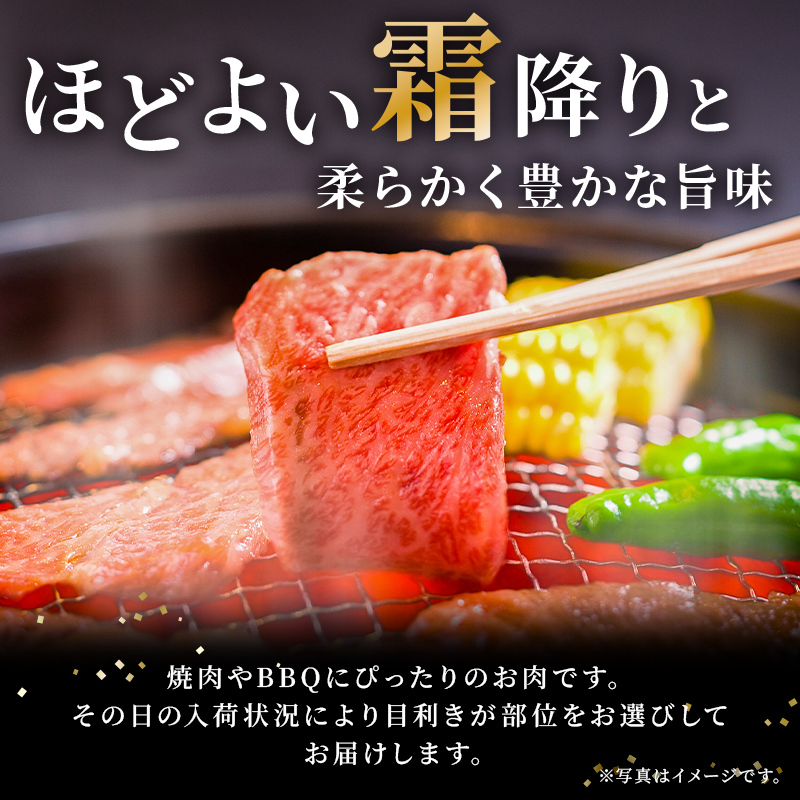 飛騨牛 ロースまたは肩ロース 600g (焼肉・BBQ用)【0091-007】