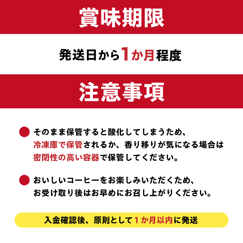 ケニアマサイ(豆) 【0097-011-1】