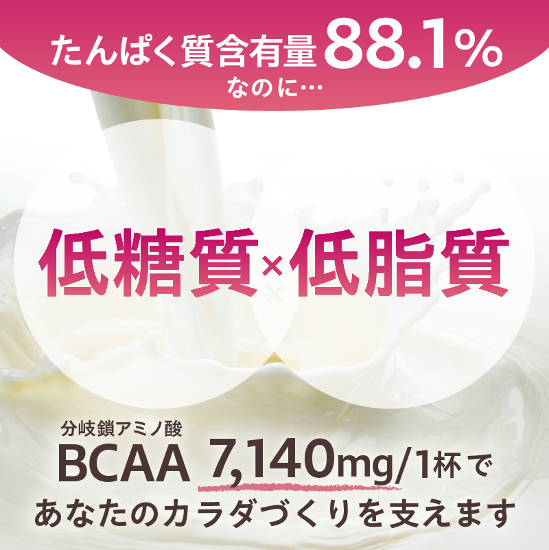 【定期便】DAILY BASIC+ WPI チョコレート（2か月連続お届け）【0105-006】