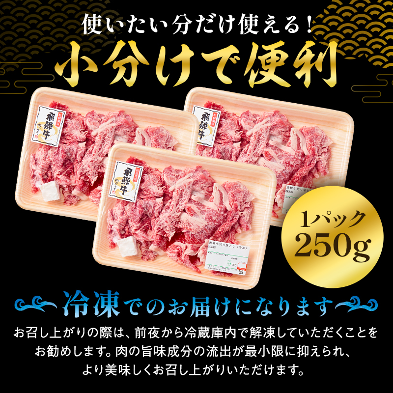 飛騨牛切り落とし1Kg（250ｇ×4）【0016-019】