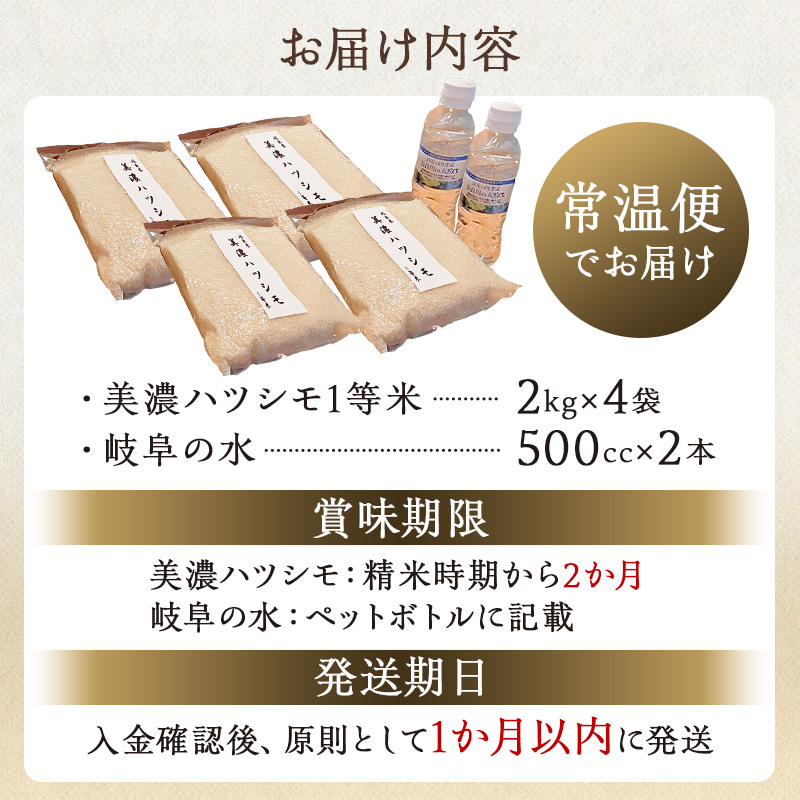 2025年産米　美濃ハツシモ　1等米8kg（2kg×4袋）【0021-007】