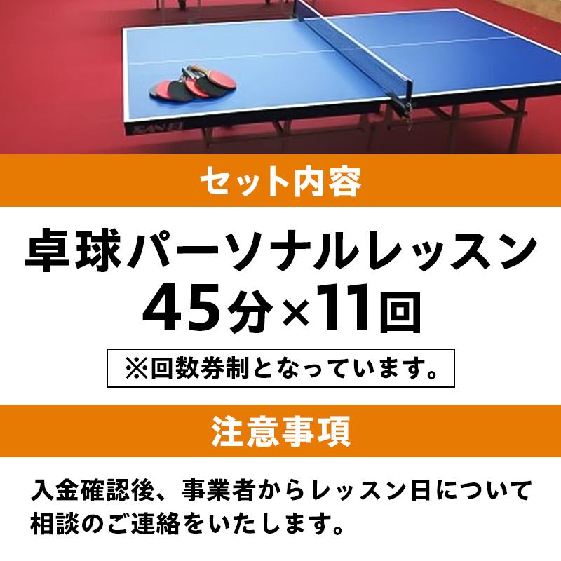 卓球パーソナルレッスン（45分×11回）　【0075-003】