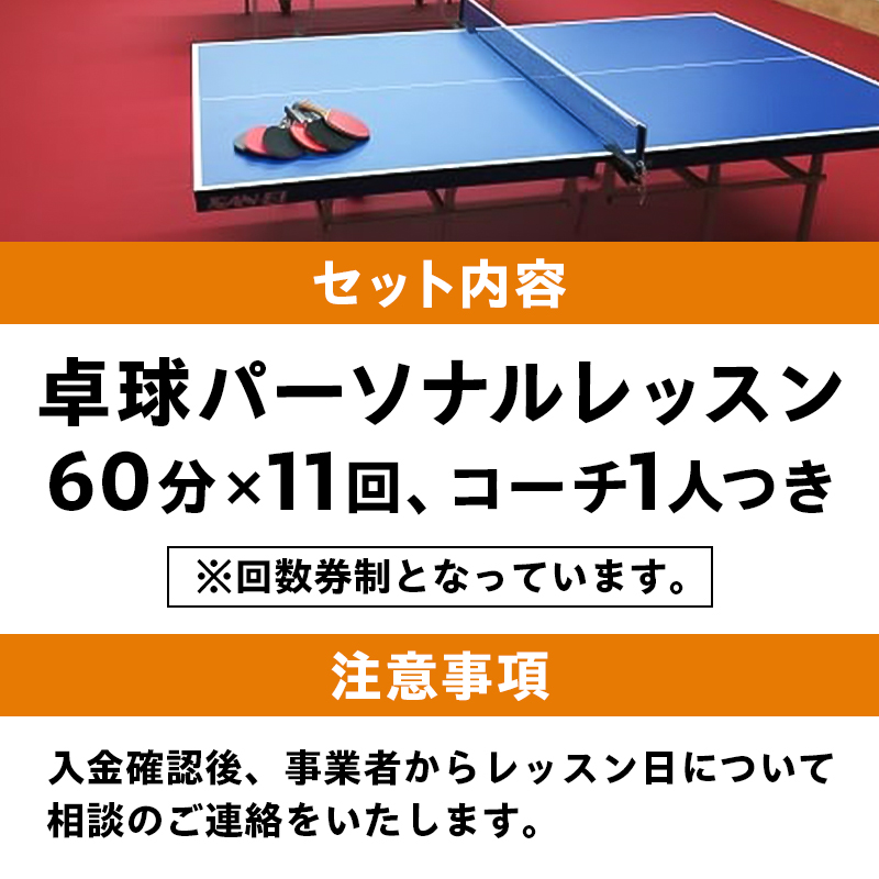 卓球パーソナルレッスン（60分×11回）コーチ１人　【0075-004】