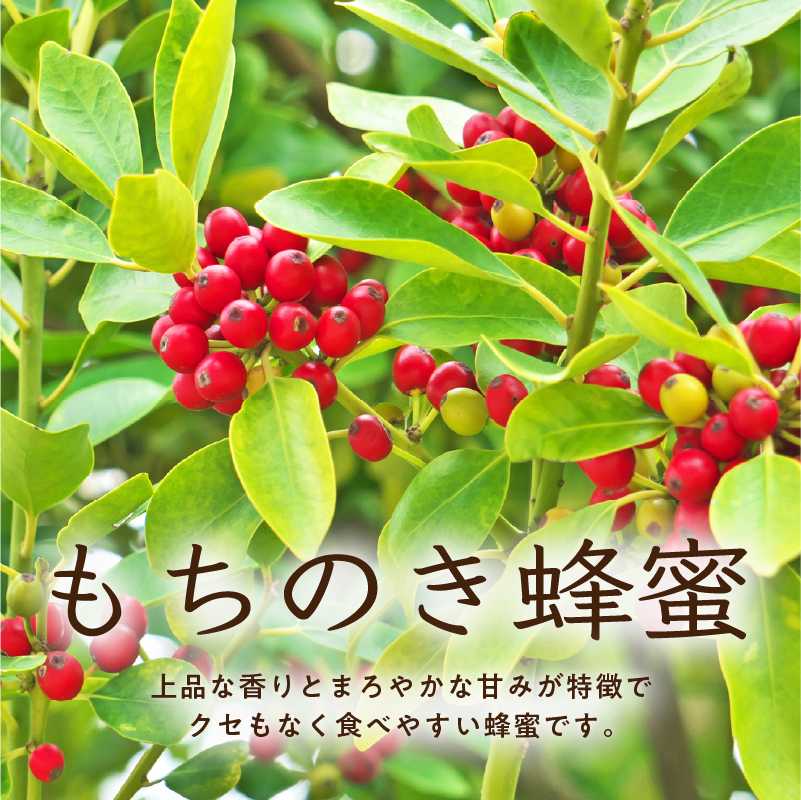 DOALA HONEY　国産純粋はちみつセット　もちのき蜂蜜・そよご蜂蜜【中日ドラゴンズコラボ】【0086-004】