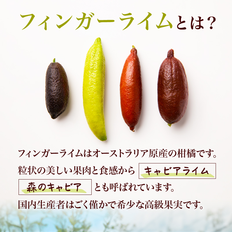 フィンガーライム 70g|ANAのふるさと納税