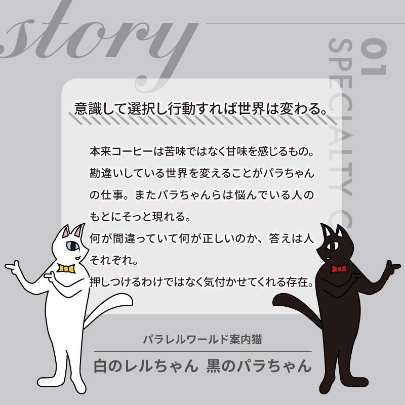 ドアラ×ネコメ　スペシャリティコーヒーブレンド　ドリップバッグ【中日ドラゴンズコラボ】【0097-003】