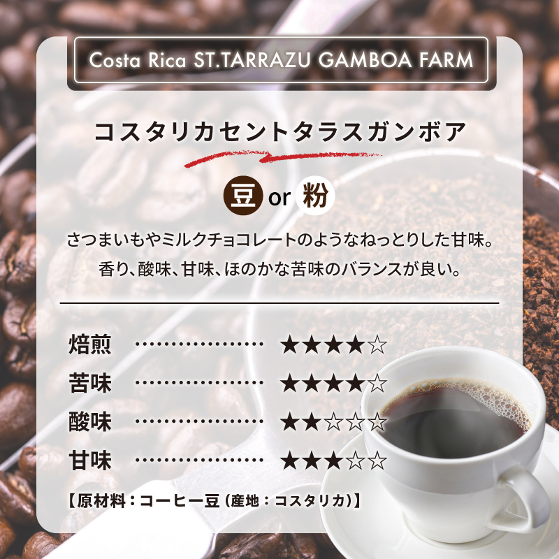 コスタリカセントタラスガンボア(豆) 【0097-017-1】