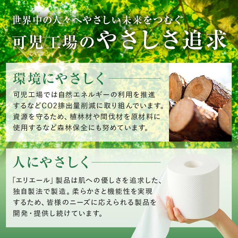 エリエール超吸収キッチンタオル 4R100カット（4ロール×12パック）【0101-004】
