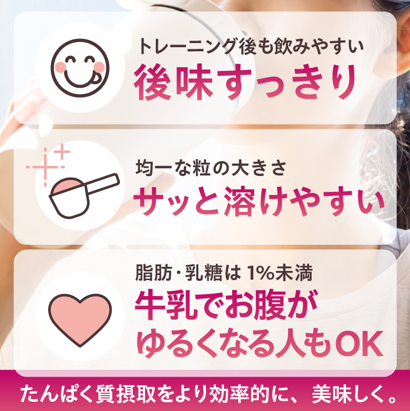 【定期便】DAILY BASIC+ WPI チョコレート（3か月連続お届け）【0105-009】