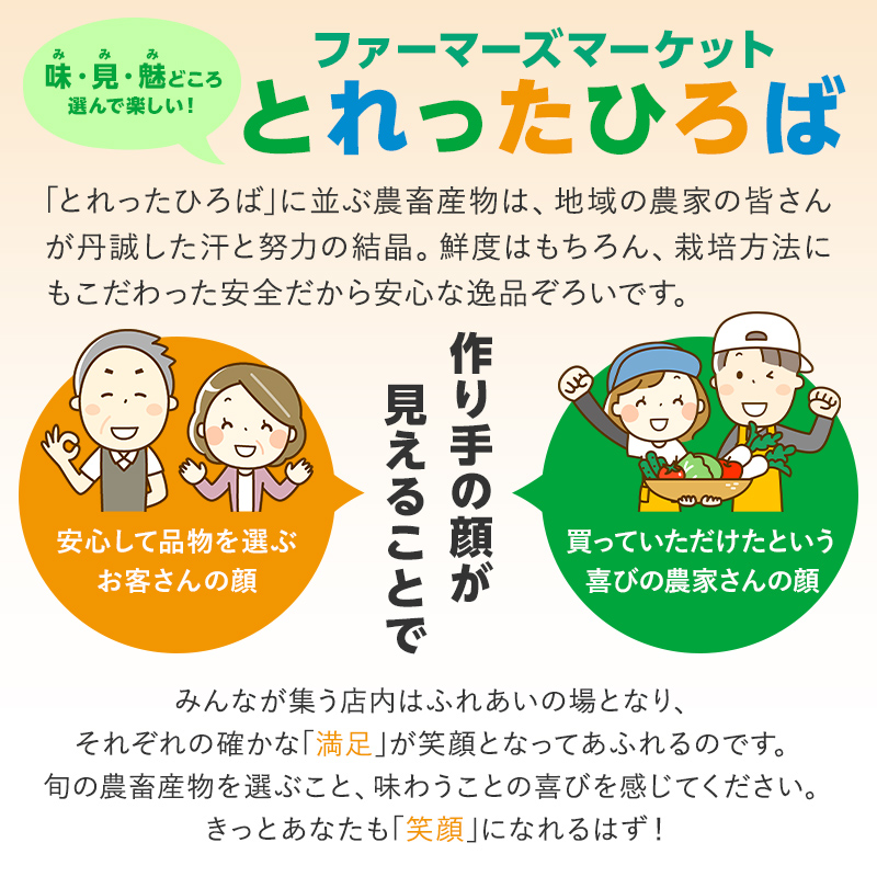 可児米（ほしじるしとコシヒカリのブレンド）　10kg【0059-004】