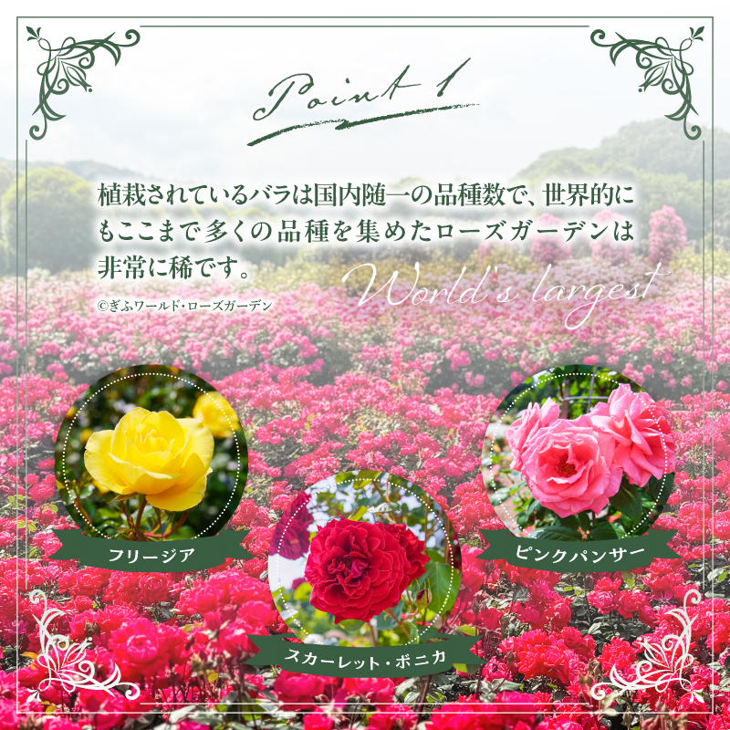 ぎふワールド・ローズガーデン 入園券 2枚【0070-001】