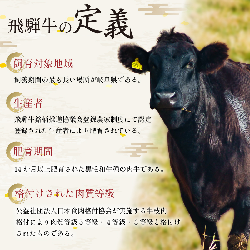 飛騨牛　最高5等級 厚切りロースステーキ用 300g×5枚【0091-002】