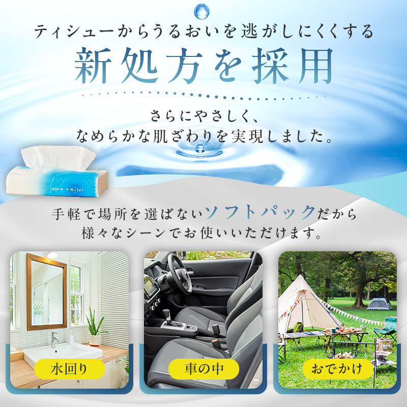エリエール +Water（プラスウォーター）ソフトパックティシュー　120W5P×2パック 【0095-016-1】