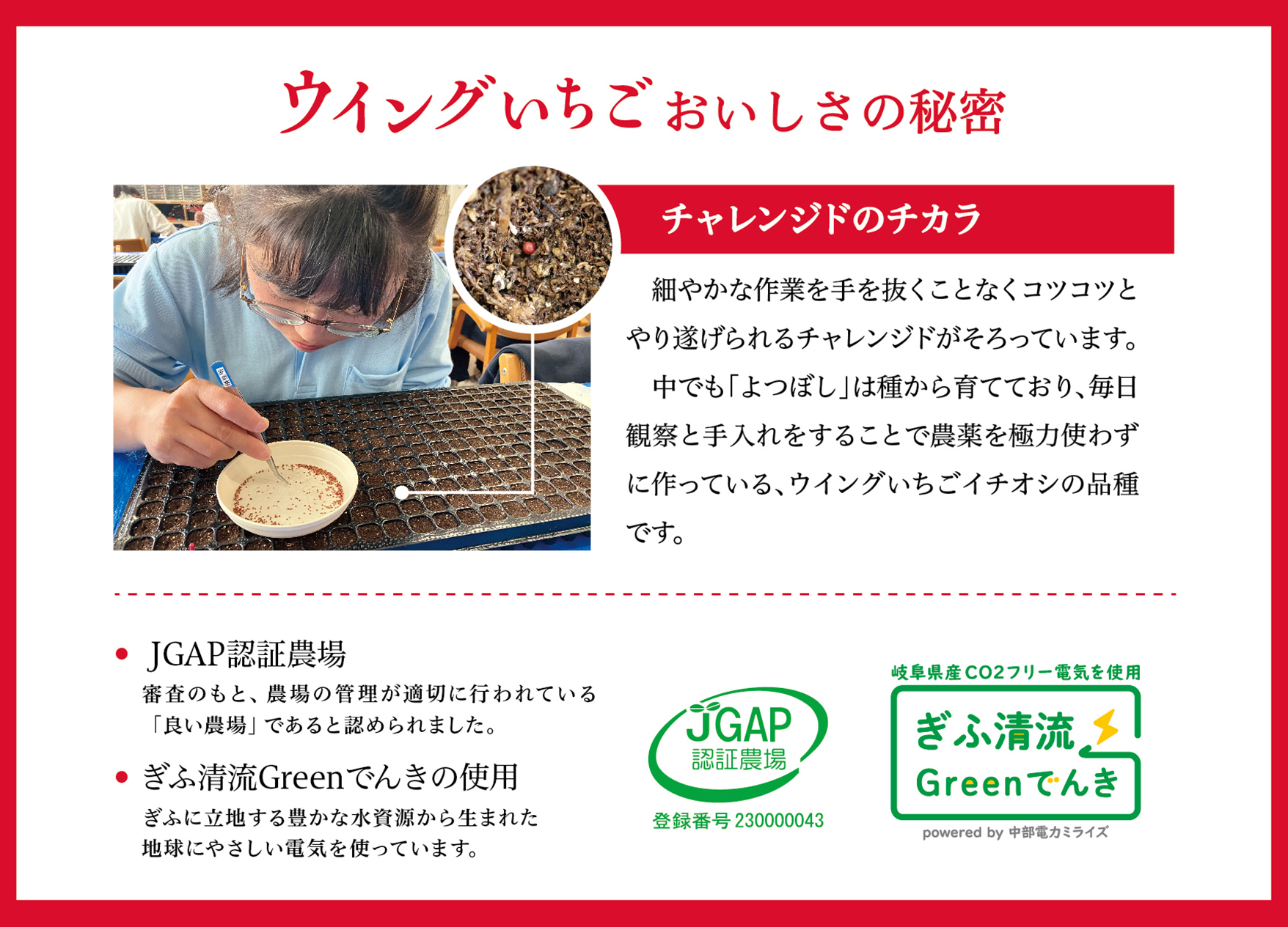 いちごジャム　Jam the Berry×ウイングいちご 【0102-001】