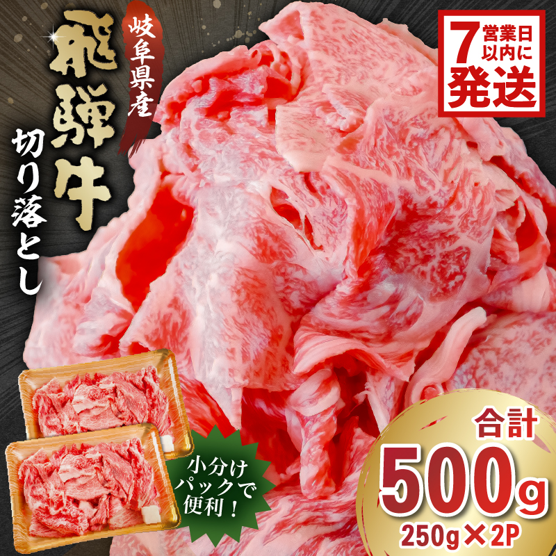 飛騨牛切り落とし500ｇ（250ｇ×2）【0016-017-1w】