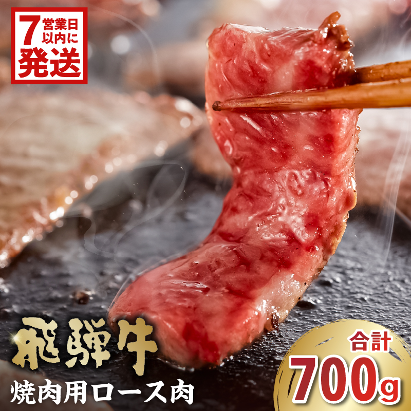 飛騨牛　焼肉用（ロース700ｇ）【0016-049-1w】