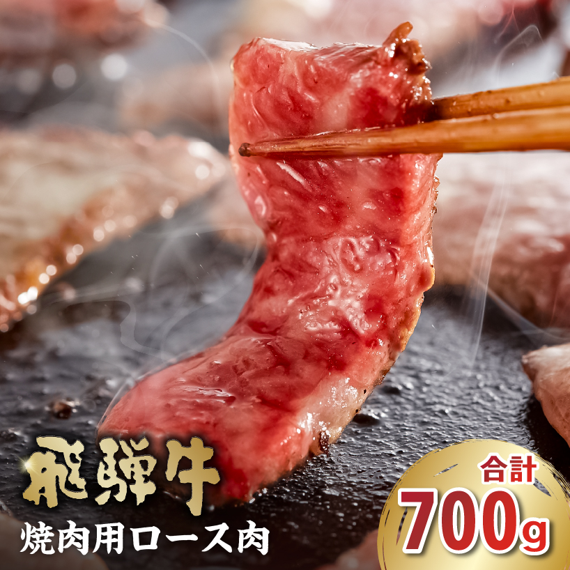飛騨牛　焼肉用（ロース700ｇ）【0016-049】