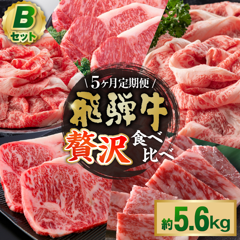 『飛騨牛』贅沢食べ比べセットB　定期便※5回に分けてのお届けとなります。（サーロインステーキ1,080g・ロースすき焼き用1,200g・ロースしゃぶしゃぶ用1,200g・ロース焼肉用1,200g・ヒレステーキ960g）【0016-100】