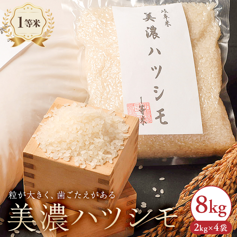 2025年産米　美濃ハツシモ　1等米8kg（2kg×4袋）【0021-007】