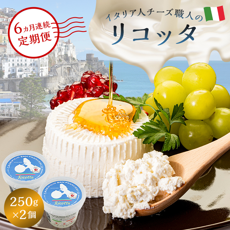 【定期便】リコッタ Ricotta 250g 2個セット(6カ月連続お届け)【0073-050】