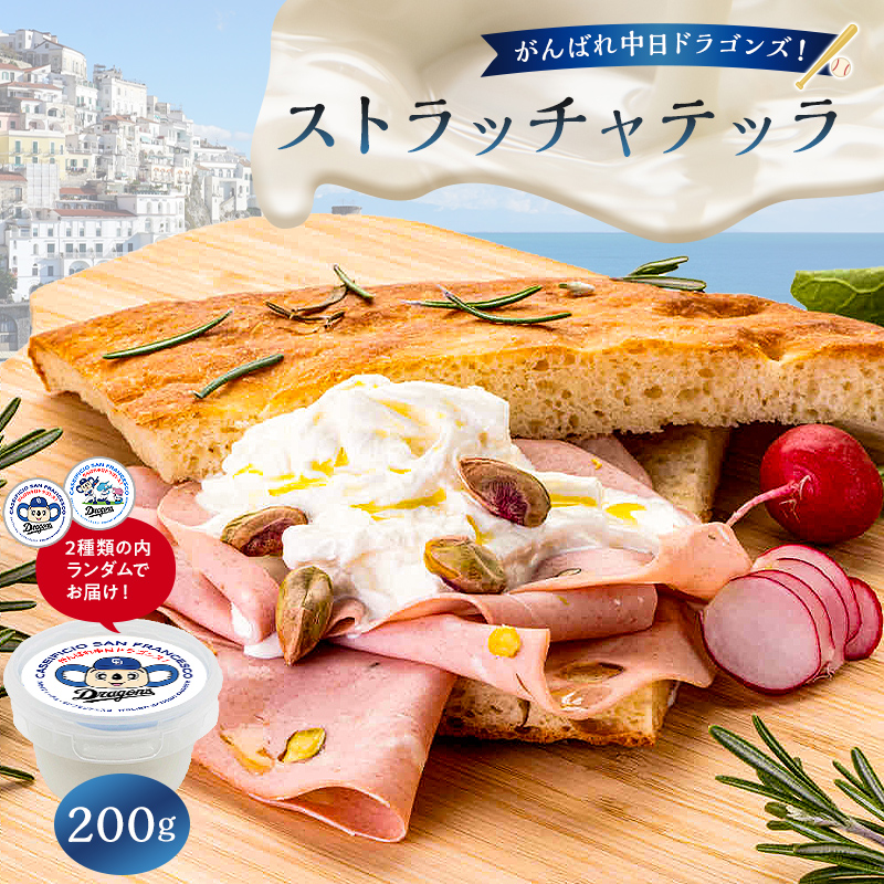 がんばれ中日ドラゴンズ！ストラッチャテッラ1個【中日ドラゴンズコラボ】【0073-087】