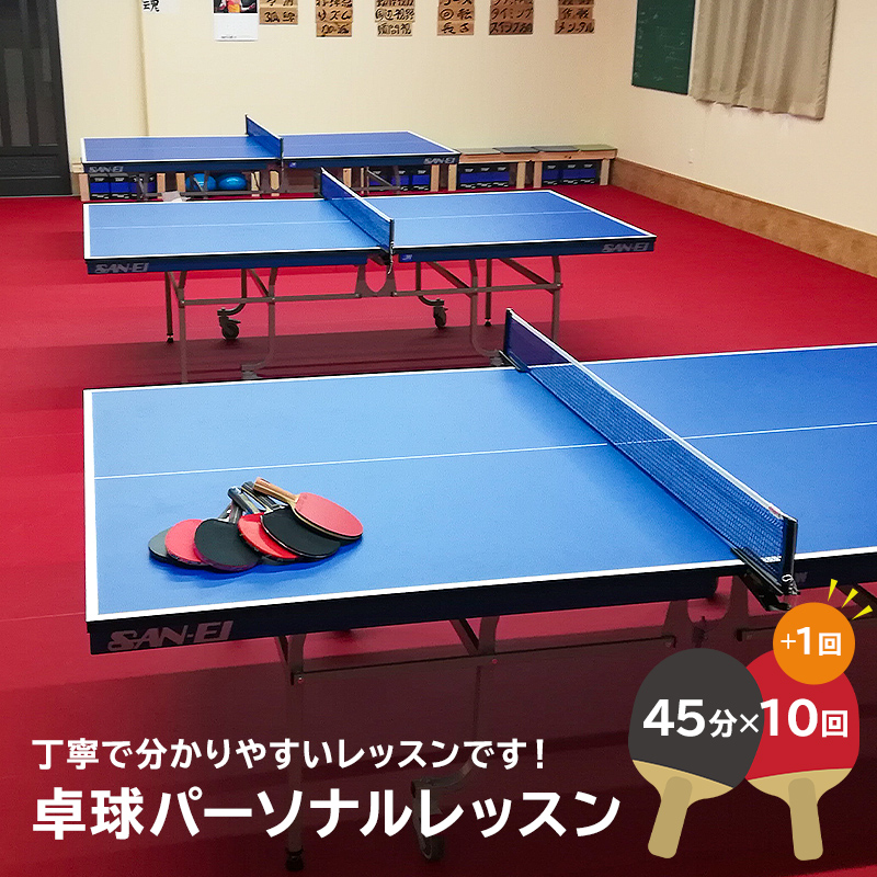 卓球パーソナルレッスン（45分×11回）　【0075-003】