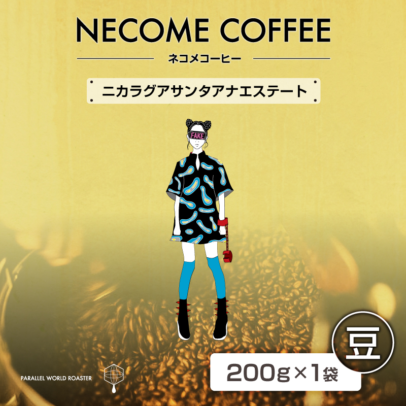 ニカラグアサンタアナエステート(豆) 【0097-015-1】