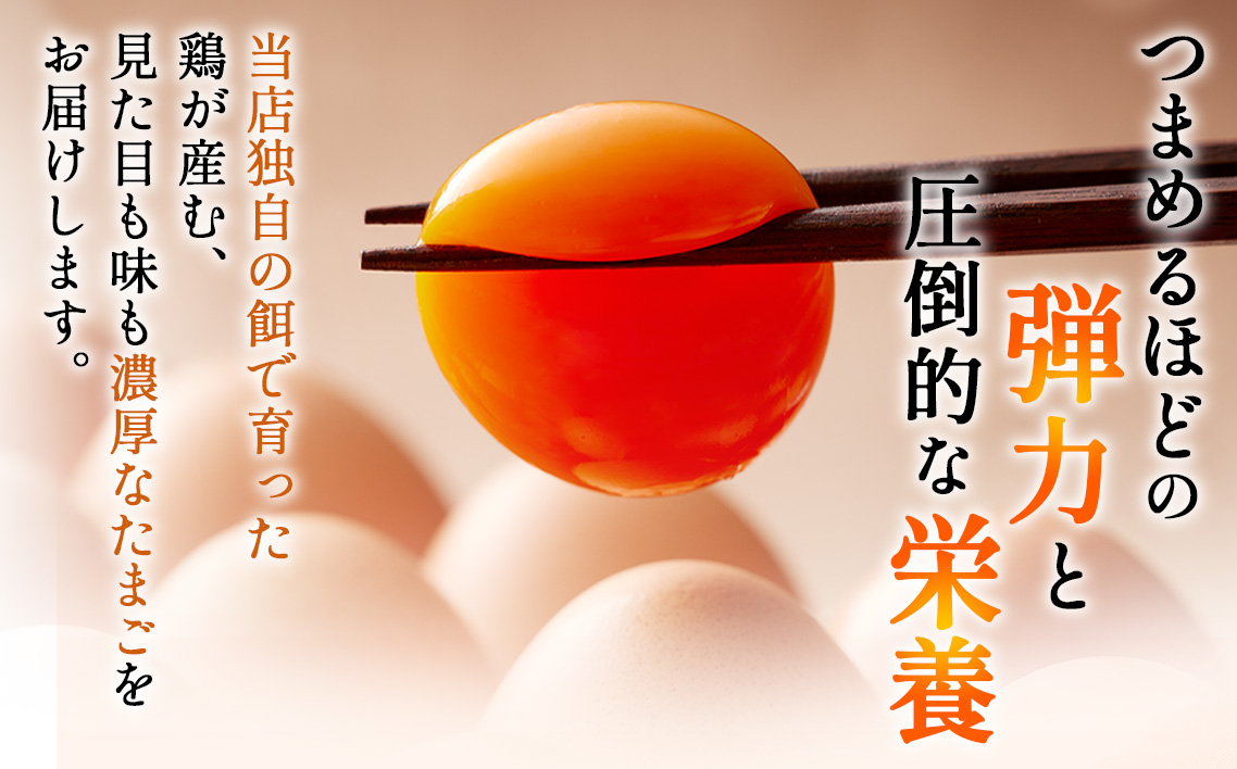 濃厚卵黄もみじたまご【40個入り】【12ヶ月連続】定期便