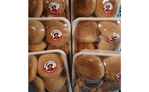 生椎茸　菌床　約700g